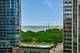 1250 S Indiana Unit 1204, Chicago, IL 60605