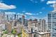 1310 N Ritchie Unit 26B, Chicago, IL 60610