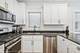 2930 N Damen Unit 2, Chicago, IL 60618