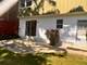 5245 Fairmount, Downers Grove, IL 60515