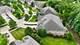 835 Woodglen, Lemont, IL 60439