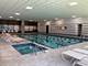 211 E Ohio Unit 2901, Chicago, IL 60611
