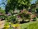 609 Bethel, Joliet, IL 60435