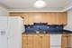 1495 S County Farm Unit 2-4, Wheaton, IL 60189