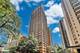 247 E Chestnut Unit 502, Chicago, IL 60611
