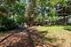 38515 N Forest, Spring Grove, IL 60081