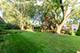 21W581 Buckingham, Glen Ellyn, IL 60137