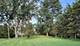 1S513 Chase, Lombard, IL 60148