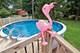 513 James, Algonquin, IL 60102
