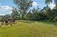 915 Talbot, Lake Bluff, IL 60044