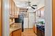 245 W Washington Unit 2B, Oak Park, IL 60302
