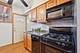 245 W Washington Unit 2B, Oak Park, IL 60302