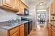 245 W Washington Unit 2B, Oak Park, IL 60302