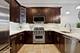 3203 N Oakley Unit 401, Chicago, IL 60618
