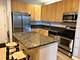 520 N Halsted Unit 411, Chicago, IL 60642