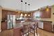 343 Copper Springs, Elgin, IL 60124
