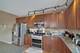 343 Copper Springs, Elgin, IL 60124