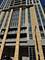 700 N Larrabee Unit 1602, Chicago, IL 60654