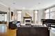 5420 N Lowell, Chicago, IL 60630