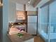 1720 Maple Unit 204, Evanston, IL 60201