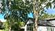 1012 Hobson, Buffalo Grove, IL 60089