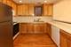 824 W Buckingham Unit 1, Chicago, IL 60657