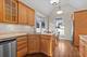 572 Vine, Highland Park, IL 60035