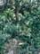 1463 Carlisle, Hampshire, IL 60140