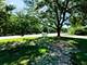 1501 N Milwaukee Unit 3A, Libertyville, IL 60048