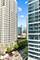 1305 S Michigan Unit 807, Chicago, IL 60605