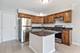 1127 Orleans, Mundelein, IL 60060
