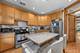 3516 N Reta, Chicago, IL 60657