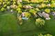 4N694 Mountain Ash, Wayne, IL 60184