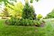 4N694 Mountain Ash, Wayne, IL 60184