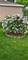 804 Elm, Maple Park, IL 60151