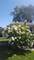 804 Elm, Maple Park, IL 60151