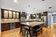 3850 Seaview, Hanover Park, IL 60133