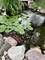2564 Brockton, Naperville, IL 60565