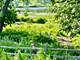 6412 Redbird, Crystal Lake, IL 60012
