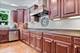 1781 Aberdeen, Glenview, IL 60025