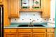 3427 Vollmer Unit 209, Flossmoor, IL 60422