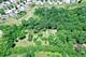 40474 N Glendale, Beach Park, IL 60099