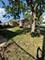 14248 Avalon, Dolton, IL 60419