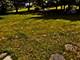 3619 Stubai, Rockford, IL 61114
