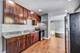 7025 S Chappel Unit 3, Chicago, IL 60649