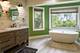 39W365 Hogan Hill, Elgin, IL 60124