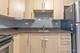 720 W Gordon Unit 3N, Chicago, IL 60613