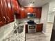 744 W Gordon Unit 108, Chicago, IL 60613