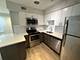 744 W Gordon Unit 107, Chicago, IL 60613