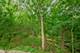 20735 Wolf, Mokena, IL 60448